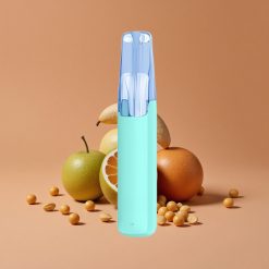 Snowplus Dash 4000 Puffs Dispositivo Desechable Mentol Plus 7,5 ml