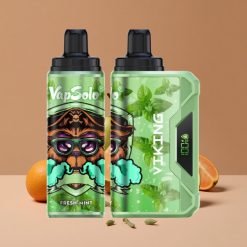 VapSolo VIKING 12000 Puffs Vape Desechable Menta Fresca con 22ml