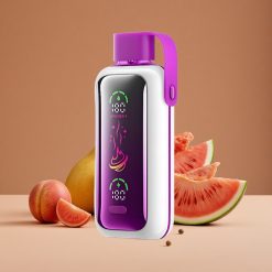 VOZOL Star 20000 Puffs Vape Desechable Melocotón Mango Sandía Dual Mesh